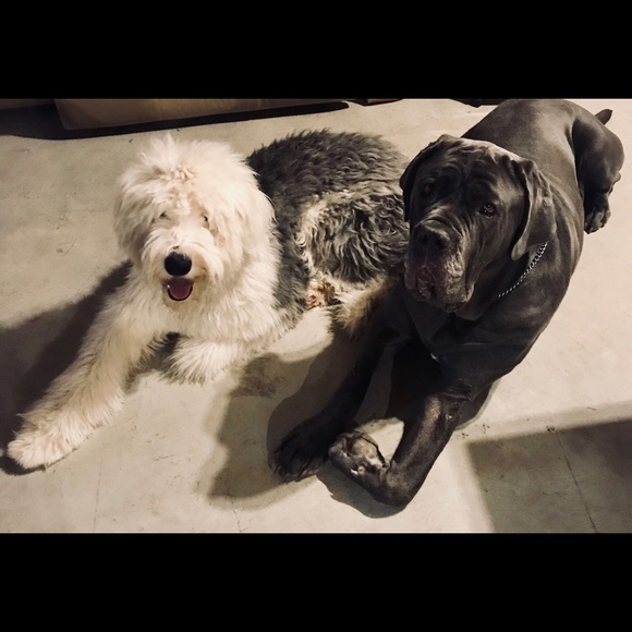 Meet your Posher, Becca - Picture 2 of 5